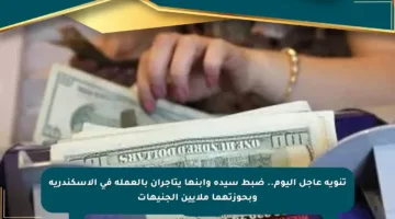 تنويه عاجل اليوم.. ضبط سيدة وابنها يتاجران بالعملة في الإسكندرية وبحوزتهما ملايين الجنيهات